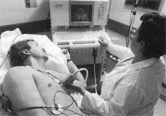 Здоровое сердце. Издание XXI века Здоровое сердце. Издание XXI века