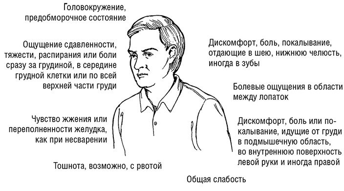 Здоровое сердце. Издание XXI века Здоровое сердце. Издание XXI века