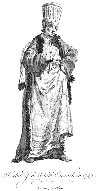 Наложницы. Тайная жизнь восточного гарема Наложницы. Тайная жизнь восточного гарема