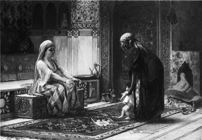 Наложницы. Тайная жизнь восточного гарема Наложницы. Тайная жизнь восточного гарема