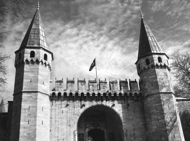 Наложницы. Тайная жизнь восточного гарема Наложницы. Тайная жизнь восточного гарема
