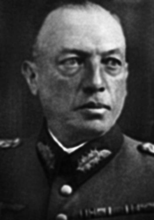 Битва за Синявинские высоты. Мгинская дуга 1941-1942 гг. Битва за Синявинские высоты. Мгинская дуга 1941-1942 гг.