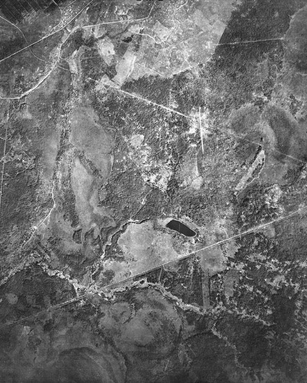 Битва за Синявинские высоты. Мгинская дуга 1941-1942 гг. Битва за Синявинские высоты. Мгинская дуга 1941-1942 гг.