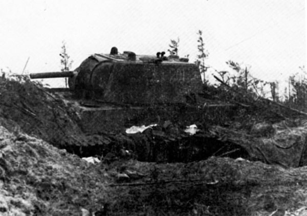Битва за Синявинские высоты. Мгинская дуга 1941-1942 гг. Битва за Синявинские высоты. Мгинская дуга 1941-1942 гг.