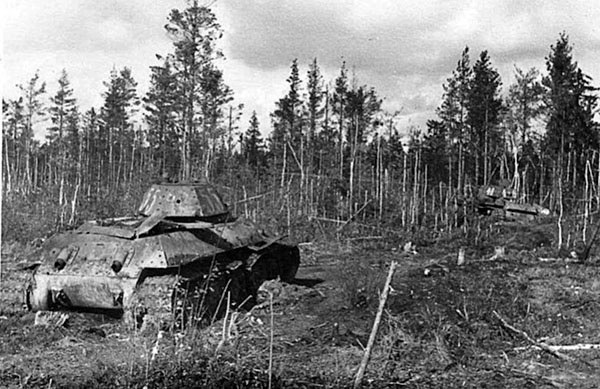 Битва за Синявинские высоты. Мгинская дуга 1941-1942 гг. Битва за Синявинские высоты. Мгинская дуга 1941-1942 гг.