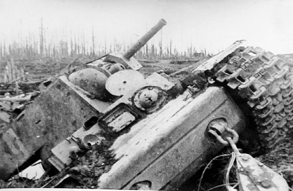 Битва за Синявинские высоты. Мгинская дуга 1941-1942 гг. Битва за Синявинские высоты. Мгинская дуга 1941-1942 гг.