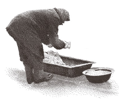 Повседневная жизнь блокадного Ленинграда Повседневная жизнь блокадного Ленинграда