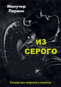 Из серого. Концерт для нейронов и синапсов - Манучер Парвин - Читать книги онлайн | Слушать аудиокниги онлайн | Электронная библиотека books-lib.com