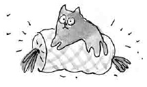 Ая эН. Елка, которая пароход Ая эН. Елка, которая пароход