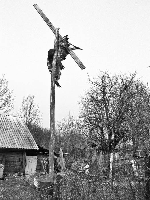 Чернобыль. Реальный мир Чернобыль. Реальный мир