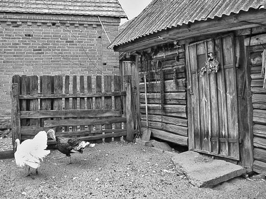 Чернобыль. Реальный мир Чернобыль. Реальный мир