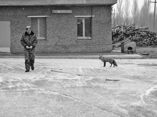 Чернобыль. Реальный мир Чернобыль. Реальный мир