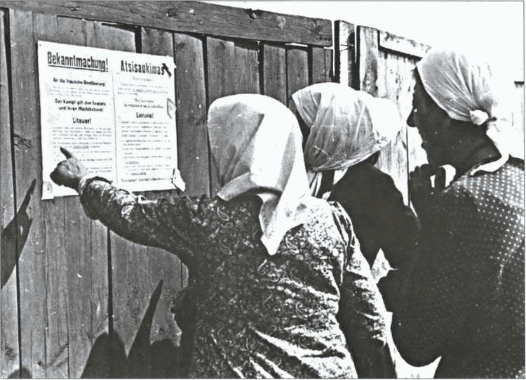 Разделяй и властвуй. Нацистская оккупационная политика Разделяй и властвуй. Нацистская оккупационная политика
