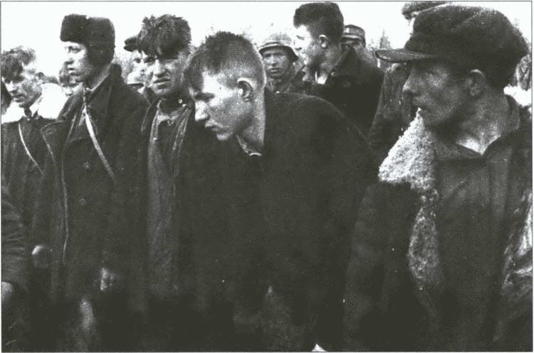 Разделяй и властвуй. Нацистская оккупационная политика Разделяй и властвуй. Нацистская оккупационная политика