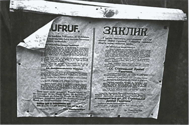 Разделяй и властвуй. Нацистская оккупационная политика Разделяй и властвуй. Нацистская оккупационная политика