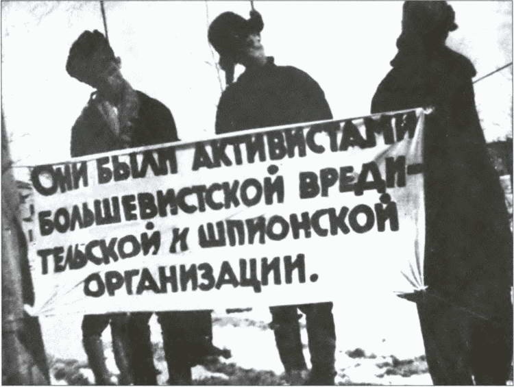 Разделяй и властвуй. Нацистская оккупационная политика Разделяй и властвуй. Нацистская оккупационная политика