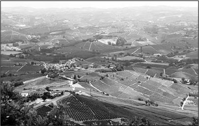 Секс, водка, потанцуем? Природа удовольствий Секс, водка, потанцуем? Природа удовольствий