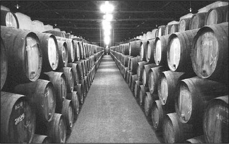 Секс, водка, потанцуем? Природа удовольствий Секс, водка, потанцуем? Природа удовольствий