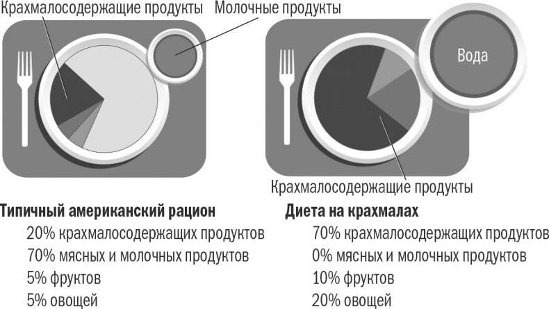 Энергия крахмала. Ешьте вкусно, заботьтесь о здоровье и худейте навсегда Энергия крахмала. Ешьте вкусно, заботьтесь о здоровье и худейте навсегда