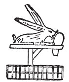 Нил и египетская цивилизация Нил и египетская цивилизация