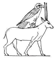 Нил и египетская цивилизация Нил и египетская цивилизация