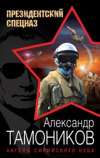 Ангелы сирийского неба - Александр Тамоников - Читать книги онлайн | Слушать аудиокниги онлайн | Электронная библиотека books-lib.com