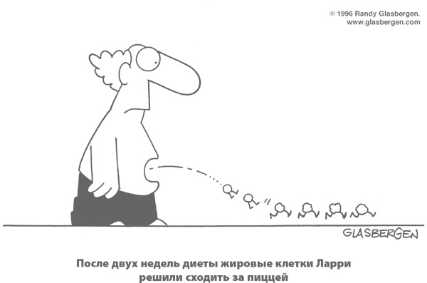Умным диеты не нужны. Последние научные открытия в области борьбы с лишним весом Умным диеты не нужны. Последние научные открытия в области борьбы с лишним весом
