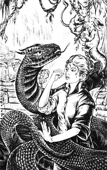 Магическая академия. Достать василиска! Магическая академия. Достать василиска!