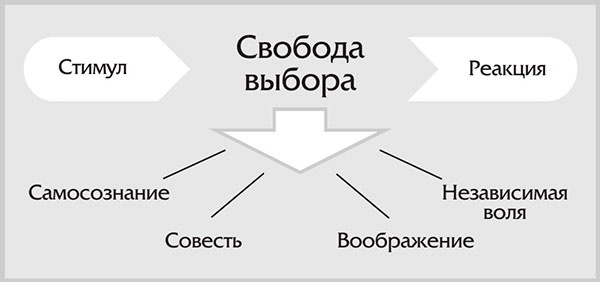 7 навыков высокоэффективных семей 7 навыков высокоэффективных семей