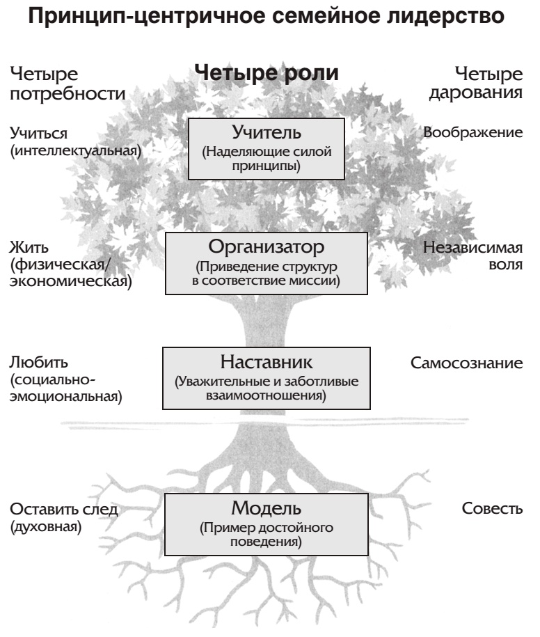 7 навыков высокоэффективных семей 7 навыков высокоэффективных семей