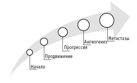 Мои рецепты от рака. Опыт врача, победившего онкологию Мои рецепты от рака. Опыт врача, победившего онкологию