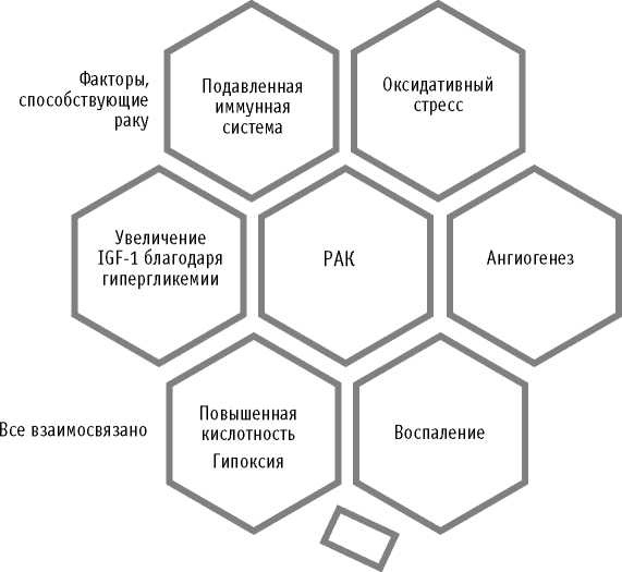 Мои рецепты от рака. Опыт врача, победившего онкологию Мои рецепты от рака. Опыт врача, победившего онкологию