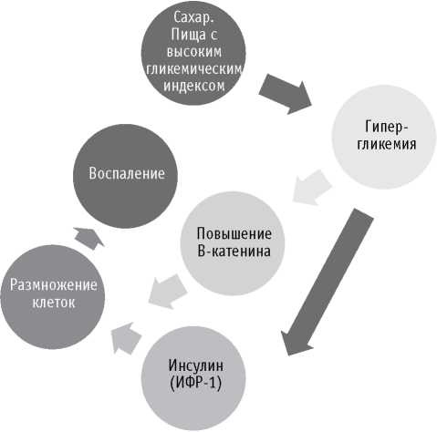 Мои рецепты от рака. Опыт врача, победившего онкологию Мои рецепты от рака. Опыт врача, победившего онкологию