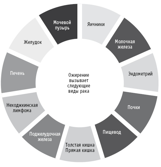 Мои рецепты от рака. Опыт врача, победившего онкологию Мои рецепты от рака. Опыт врача, победившего онкологию
