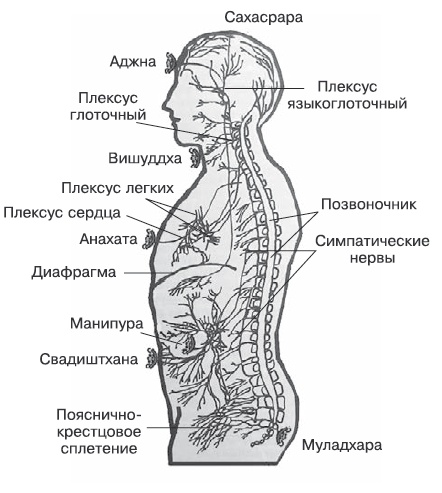 Бросай пить! САМОкодирование по системе СОС Бросай пить! САМОкодирование по системе СОС