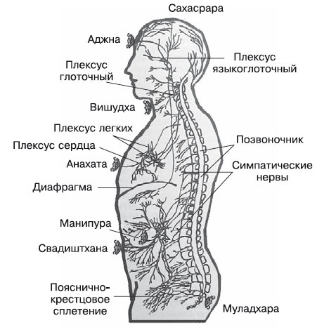 Бросай курить! САМОкодирование по системе СОС Бросай курить! САМОкодирование по системе СОС