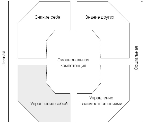 Полное руководство по методам, принципам и навыкам персонального коучинга Полное руководство по методам, принципам и навыкам персонального коучинга