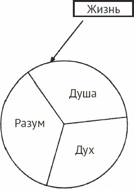 Одна книга на всю жизнь. Весь "Опыт дурака" в одной книге Одна книга на всю жизнь. Весь "Опыт дурака" в одной книге