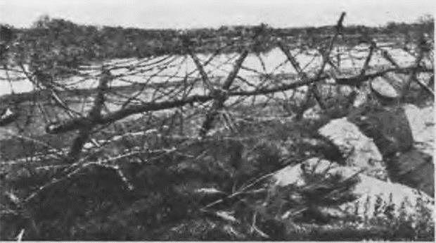 "Пушечное мясо" Первой мировой. Пехота в бою "Пушечное мясо" Первой мировой. Пехота в бою