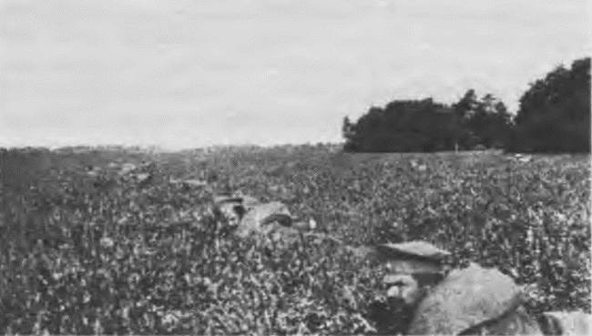 "Пушечное мясо" Первой мировой. Пехота в бою "Пушечное мясо" Первой мировой. Пехота в бою