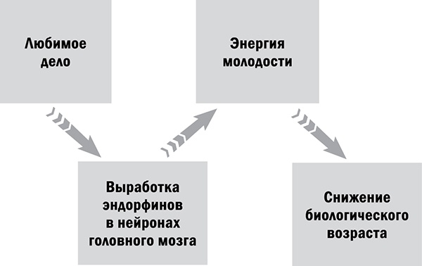 Управляй возрастом. Живи дольше, зарабатывай больше Управляй возрастом. Живи дольше, зарабатывай больше