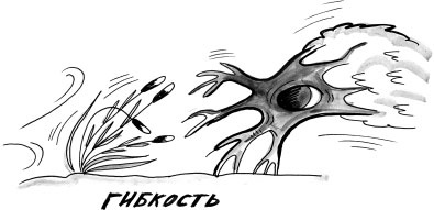 На линии огня. Искусство отвечать на провокационные вопросы На линии огня. Искусство отвечать на провокационные вопросы