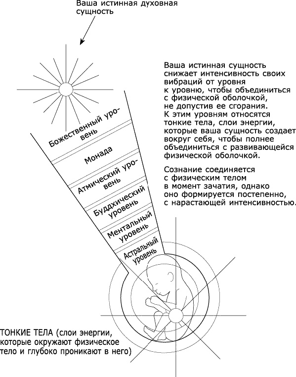 Аура человека. Способы защиты и воздействия Аура человека. Способы защиты и воздействия