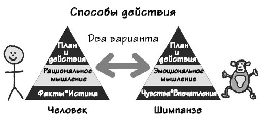 Парадокс Шимпанзе. Менеджмент мозга Парадокс Шимпанзе. Менеджмент мозга