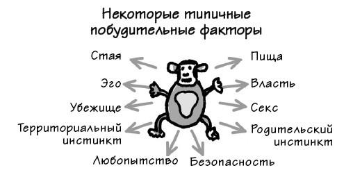 Парадокс Шимпанзе. Менеджмент мозга Парадокс Шимпанзе. Менеджмент мозга