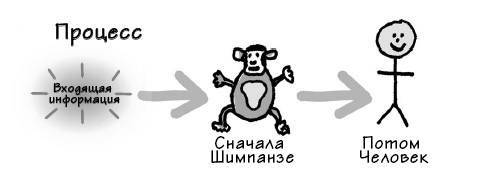 Парадокс Шимпанзе. Менеджмент мозга Парадокс Шимпанзе. Менеджмент мозга