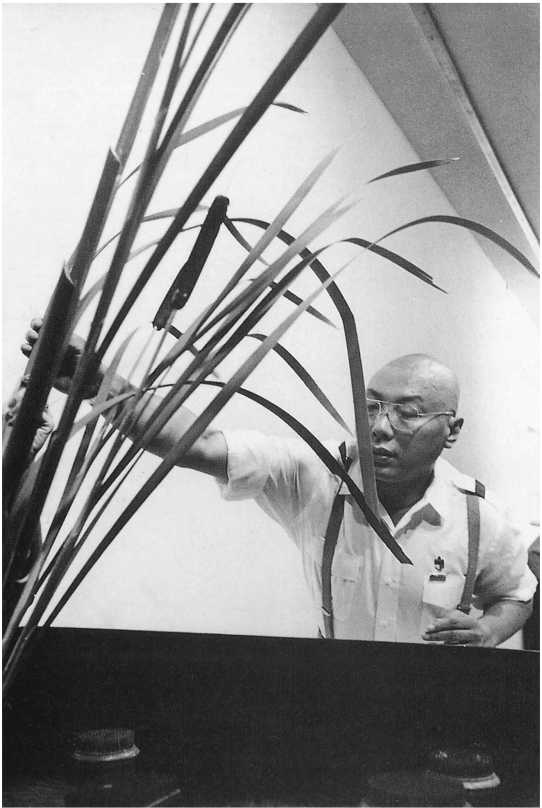 Истинное восприятие. Путь дхармического искусства Истинное восприятие. Путь дхармического искусства