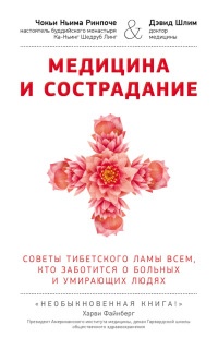 Медицина и сострадание. Советы тибетского ламы всем, кто заботиться о больных и умирающих людях - Дэвид Шлим - Читать книги онлайн | Слушать аудиокниги онлайн | Электронная библиотека books-lib.com