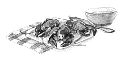 Настоящий джентльмен. Правила современного этикета для мужчин Настоящий джентльмен. Правила современного этикета для мужчин