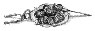 Настоящий джентльмен. Правила современного этикета для мужчин Настоящий джентльмен. Правила современного этикета для мужчин